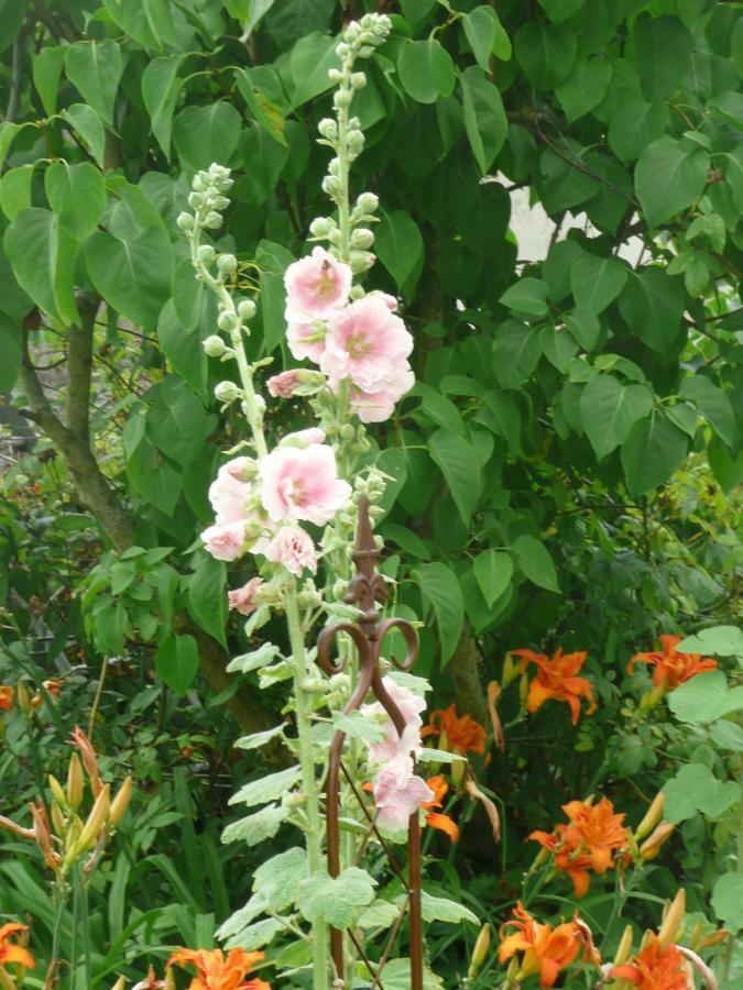 באיו Les Lilas De Bellefontaine מראה חיצוני תמונה
